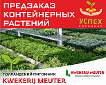 Предзаказ контейнерных растений. Голландский питомник KWEKERIJ MEUTER.ВЕСНА 2026г