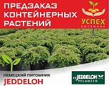 Предзаказ контейнерных растений. Немецкий питомник JEDDELOH. ВЕСНА 2026г