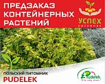 Предзаказ контейнерных растений. Польский питомник PUDELEK. ВЕСНА 2026г